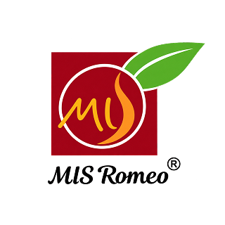 logo-miss-romeo